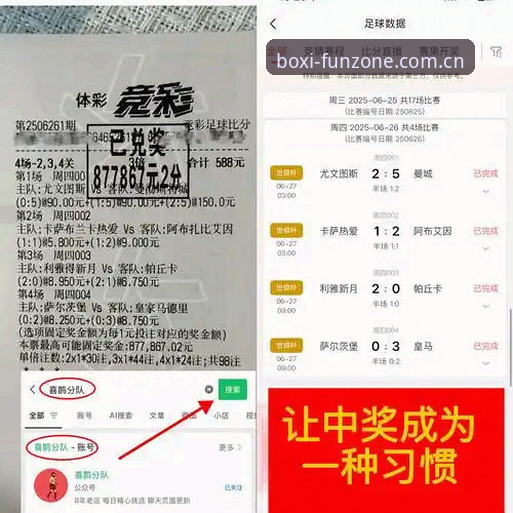 博喜体育官网充值下载问题深度评测：v3.1.0版本故障排查与解决方案